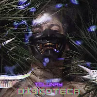 Dj Tolunay — Discoteca — обложка